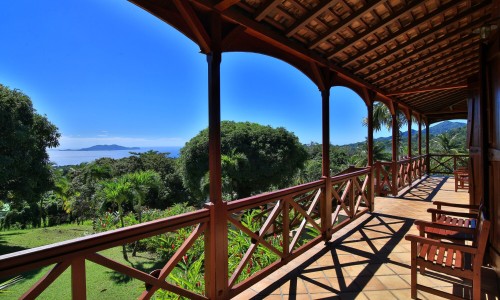 Le Jardin Malanga